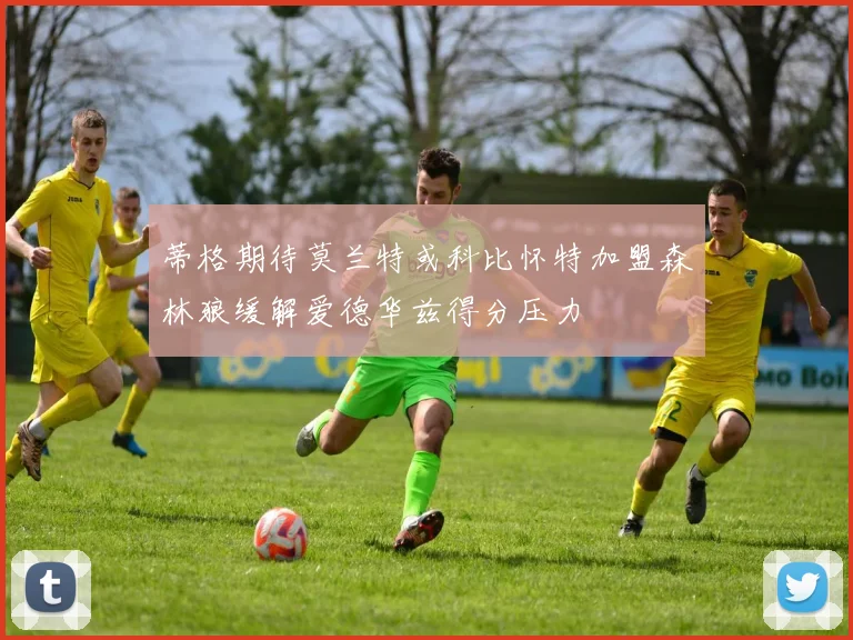 蒂格期待莫兰特或科比怀特加盟森林狼缓解爱德华兹得分压力